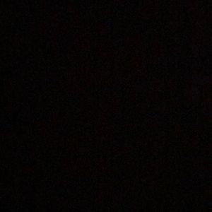 Meet your Posher, Nelly